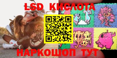 прущие грибы Комсомольск-на-Амуре